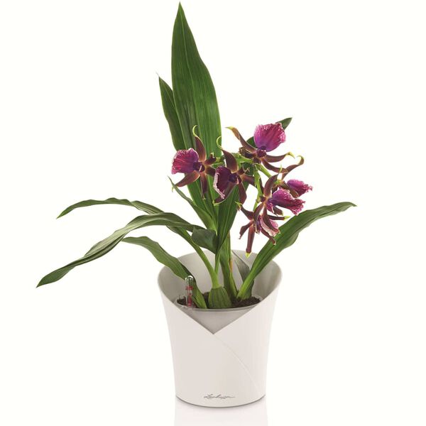 LECHUZA Jardinera ORCHIDEA ALL-IN-ONE blanco mate