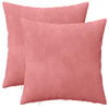 vidaXL Coj&iacute;n con almohada HEERLEN 2 uds. Rosa Terciopelo