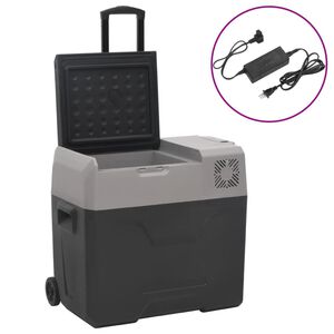 vidaXL Nevera con ruedas y adaptador polipropileno negro y gris 40 L