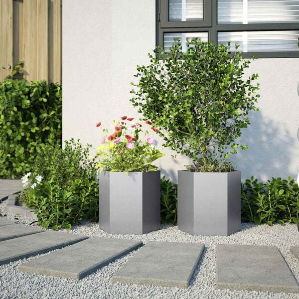 vidaXL Jardineras hexagonales 2 uds acero inoxidable 46x40x45 cm