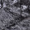 vidaXL Alfombra de pelo largo NAVARRA gris oscuro 200x200 cm poli&eacute;ster