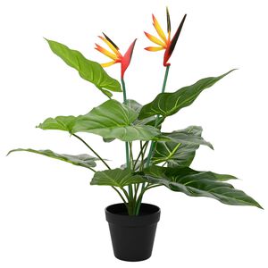 vidaXL Planta artificial de Strelitzia Verde 65 x 13 x 55 cm