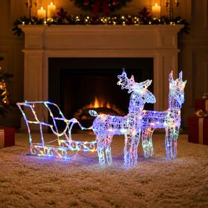 vidaXL Reno y trineo adorno navide&ntilde;o 160 LEDs acr&iacute;lico 130 cm