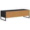 vidaXL Gabinete de TV Roble Negro 100 x 36.5 x 30.5 cm