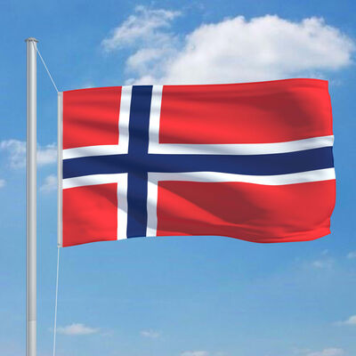vidaXL Bandera de Noruega y mástil de aluminio 6,2 m