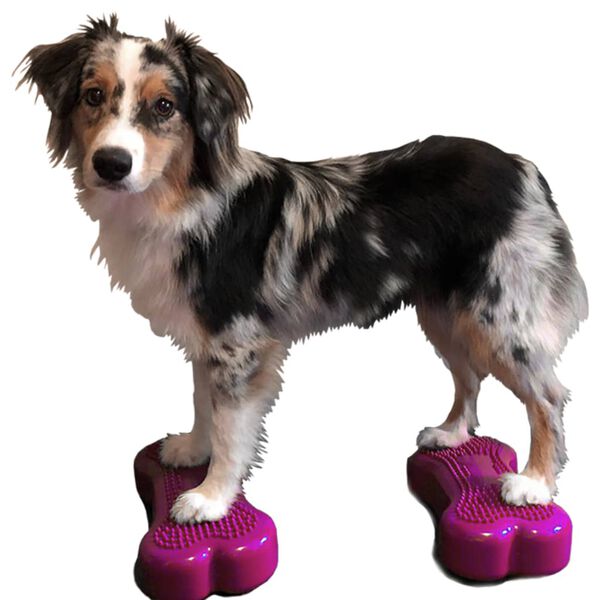 FitPAWS Plataforma equilibrio perros Mini K9FITbone 2 uds 29x16,5x6cm