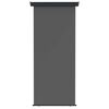vidaXL Toldo lateral para balc&oacute;n 60 x 250 cm