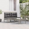 vidaXL Set de muebles de jardín 3 pzas y cojines ratán sintético gris