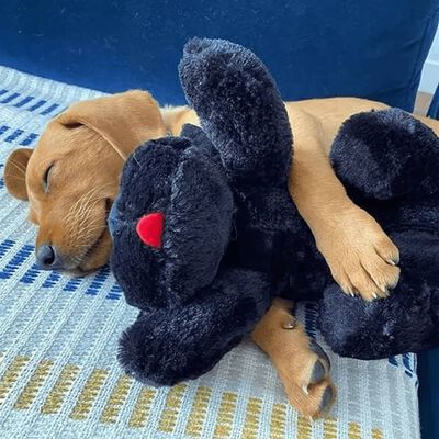 Snuggle Puppy Perrito de peluche para perros con latido marrón negro
