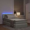 vidaXL Cama con almacenamiento y LED Gris Claro 90 x 200 cm Terciopelo