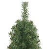 vidaXL Árbol de Navidad artificial Verde 150 cm PVC, Acero y Plástico