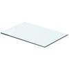 vidaXL Panel de estante vidrio claro 40x20 cm