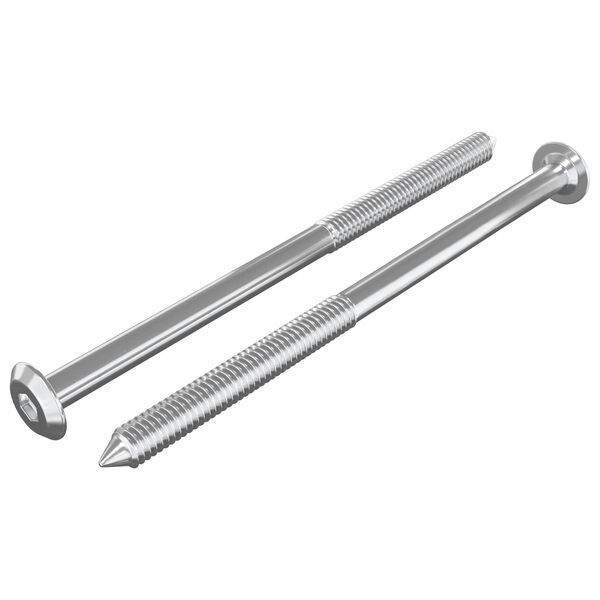 vidaXL Tornillos de Muebles 2 pcs Plateado M6 x 100 mm Acero