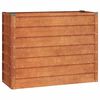 vidaXL Arriate oxidado de acero corten 100x40x77 cm