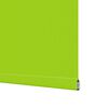vidaXL Estor Enrollable Opaco hojas verde 85x175 cm Tela Ancho 80,7 cm