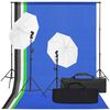 vidaXL Kit de estudio fotogr&aacute;fico con set de luces y fondo