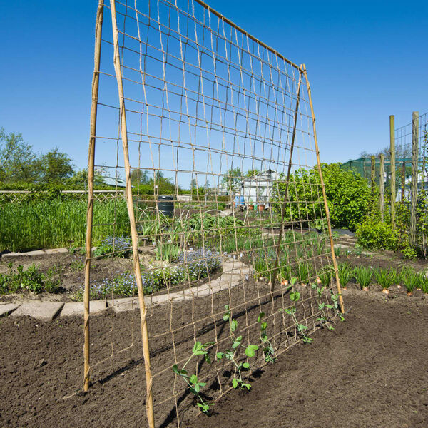 Nature Red de planta trepadora yute 1,8x5 m