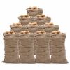 vidaXL Sacos de yute 10 unidades 65x135 cm 100% yute 220 g/m&sup2;