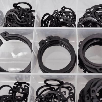 vidaXL Juego surtido de anillos de retención externos 300 piezas
