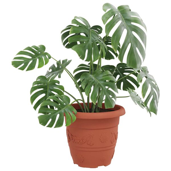 Mostrando imagen del producto 3 de 9