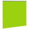 vidaXL Estor Enrollable Opaco hojas verde 155x150cm Tela Ancho 151,6cm