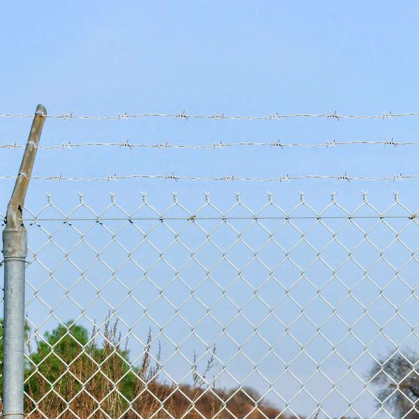 vidaXL Alabre de espino, 500 metros