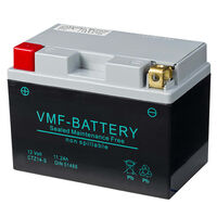 VMF Powersport Batería AGM 12 V 11,2 Ah FA YTZ14-S