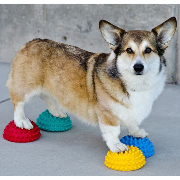 FitPAWS Accesorios de equilibrio para patas de mascotas 4 unidades