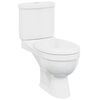 vidaXL Inodoro WC con cisterna blanco