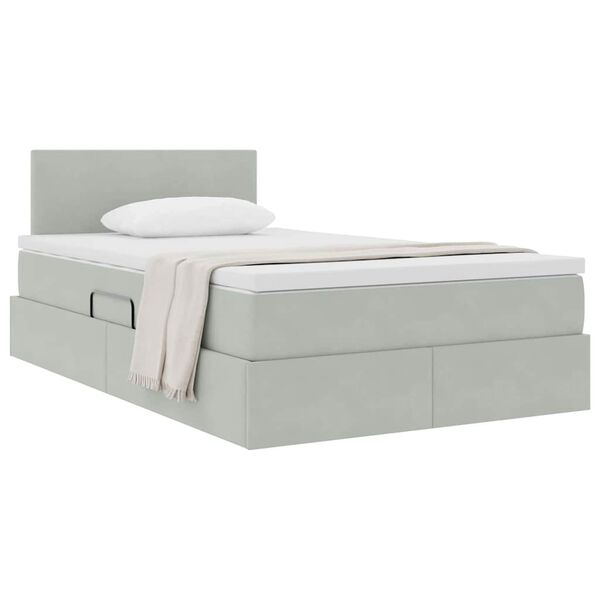 vidaXL Cama con almacenamiento Gris Claro 120 x 190 cm Terciopelo