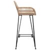 vidaXL Silla de Bar 2 pcs Natural 55 x 52 x 92 cm Ratan e Hierro
