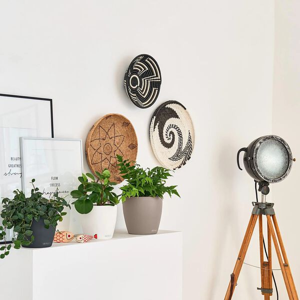 LECHUZA Macetero CLASSICO Color 18 ALL-IN-ONE color pizarra