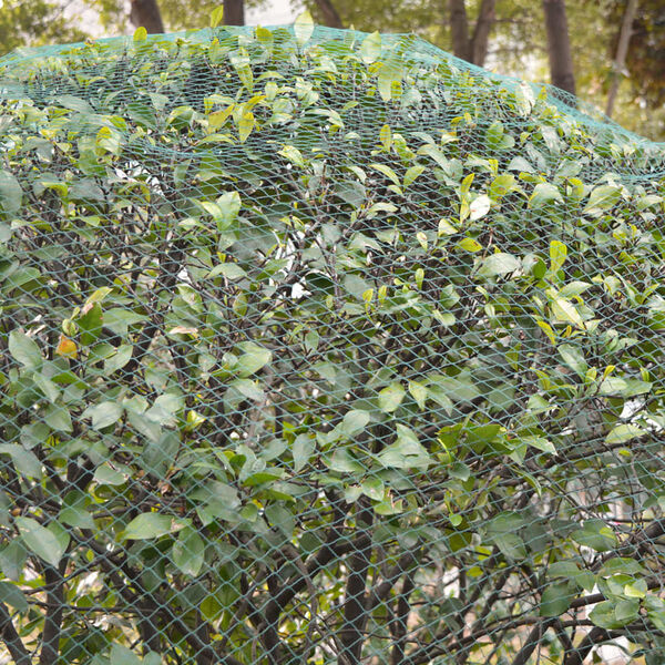 vidaXL Red antipájaros 5 unidades 4x10 m PE