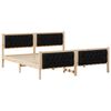 Brown_and_black