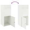 vidaXL Caja de entrega de paquetes con puerta 41 x 38 x 103 cm Acero