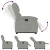vidaXL Sillón reclinable elevable terciopelo gris claro