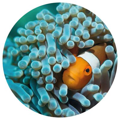 WallArt Círculo de papel pintado Nemo the Anemonefish 190 cm