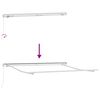vidaXL Toldo Manual 300 x 250 x 165 cm Poli&eacute;ster