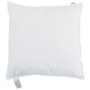 vidaXL Almohada con almohada 2 pcs 50 x 50 cm Pluma