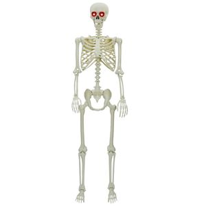 vidaXL Esqueleto de Halloween Blanco 155 x 38,5 cm Polipropileno