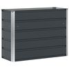 vidaXL Jardinera Antracita 100 x 40 x 75 cm Acero