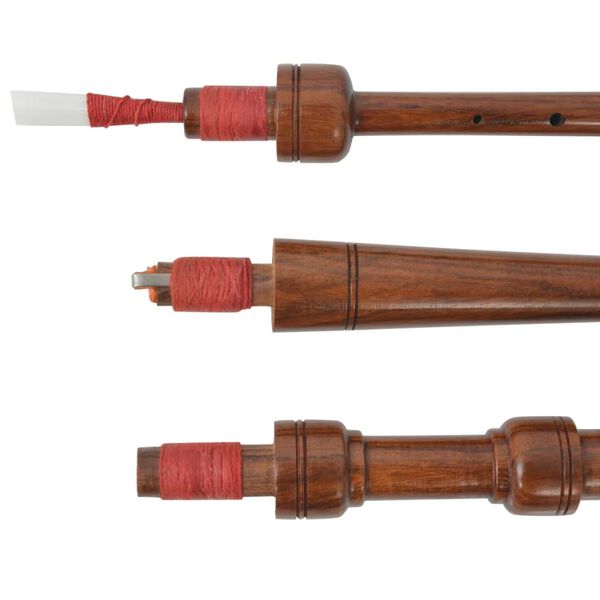 vidaXL Gaita escocesa para niños Highland Royal Steward negro