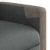 vidaXL Sill&oacute;n reclinable de masaje el&eacute;ctrico tela gris oscuro