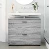 vidaXL Gabinete de Baño con cajón Gris Sonoma 76,5 x 35 x 64 cm