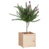 vidaXL Jardineras 2 uds madera maciza de pino 50x50x50 cm