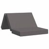 vidaXL Sof&aacute; Cama Plegable 100 x 67 x 45 cm Gris Claro