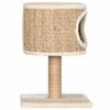 vidaXL Árbol para gatos con casa y poste rascador 52 cm hierba marina