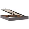 vidaXL Cama con almacenamiento y LED Gris 160 x 200 cm Cuero sint&eacute;tico