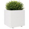 Imagen en miniatura del producto 4 de 10