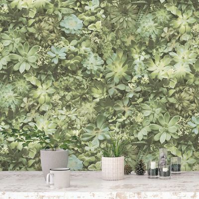 Noordwand Papel de pared Evergreen Succulent verde y beige